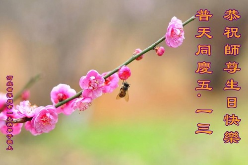 Image for article Praktisi Falun Dafa dari Kota Baoding Merayakan Hari Falun Dafa Sedunia dan dengan Hormat Mengucapkan Selamat Ulang Tahun kepada Guru Li Hongzhi (23 Ucapan)