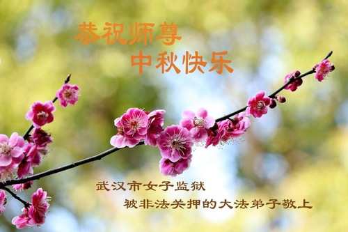 Image for article Praktisi Falun Dafa dari Provinsi Hubei Dengan Hormat Mengucapkan Selamat Merayakan Festival Pertengahan Musim Gugur kepada Guru Li Hongzhi (23 Ucapan)