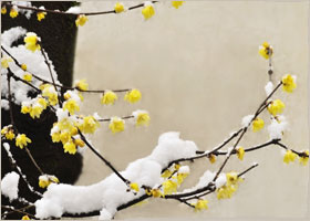 Image for article [Merayakan Hari Falun Dafa Sedunia] Falun Dafa Memberkati Desa Miskin