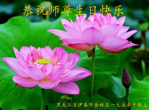 Image for article Praktisi Falun Dafa dari Provinsi Heilongjiang Merayakan Hari Falun Dafa Sedunia dan dengan Hormat Mengucapkan Selamat Ulang Tahun kepada Guru Li Hongzhi (25 Ucapan)