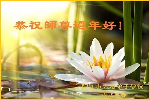 Image for article Praktisi Falun Dafa dari Provinsi Guangdong dengan Hormat Mengucapkan Selamat Tahun Baru Imlek kepada Guru Li Hongzhi (24 Ucapan)