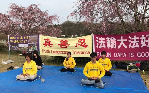 Image for article Jepang: Memperkenalkan Falun Gong Selama Festival Bunga Sakura