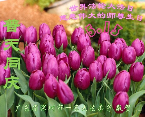 Image for article Praktisi Falun Dafa dari Guangdong Merayakan Hari Falun Dafa Sedunia dan dengan Hormat Mengucapkan Selamat Ulang Tahun kepada Guru Li Hongzhi (25 Ucapan)