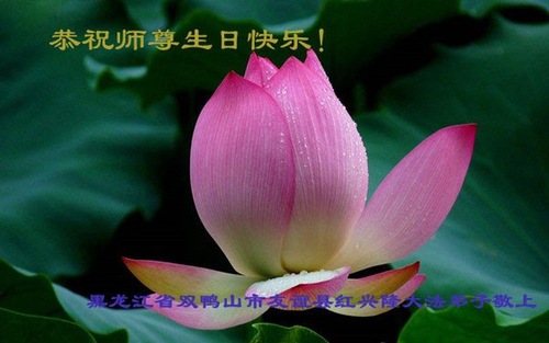 Image for article Praktisi Falun Dafa dari Provinsi Heilongjiang Merayakan Hari Falun Dafa Sedunia dan dengan Hormat Mengucapkan Selamat Ulang Tahun kepada Guru Li Hongzhi (19 Ucapan)