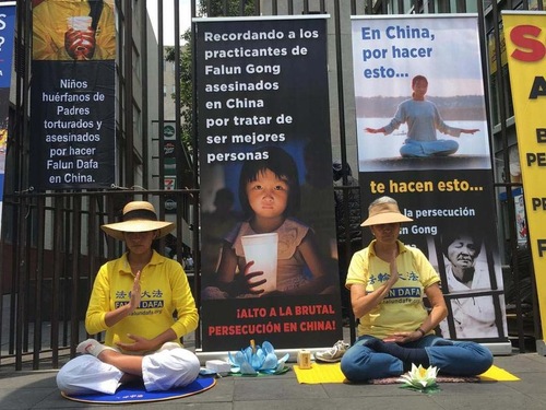 Image for article Meksiko: Praktisi Falun Dafa Meningkatkan Kesadaran akan 20 Tahun Penganiayaan di Tiongkok