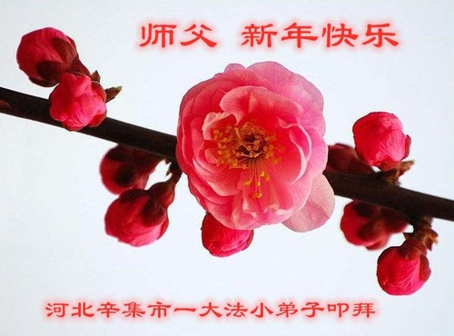 Image for article Praktisi Muda Mengucapkan Selamat Tahun Baru kepada Guru Li Hongzhi Terhormat (22 Ucapan)