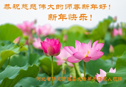 Image for article Praktisi Falun Dafa dari Kota Baoding Mengucapkan Selamat Tahun Baru kepada Guru Terhormat (28 Ucapan)