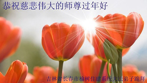 Image for article Praktisi Falun Dafa dari Changchun Mengucapkan Selamat Tahun Baru Imlek kepada Guru Li Hongzhi Terhormat (21 Ucapan)