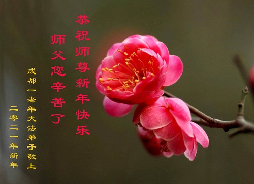 Image for article Praktisi Falun Dafa dari Kota Chengdu Mengucapkan Selamat Tahun Baru Imlek kepada Guru Li Hongzhi Terhormat (21 Ucapan)