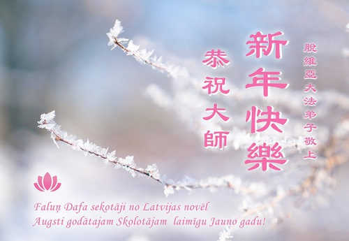 Image for article Praktisi Falun Dafa dari Luar Tiongkok dengan Hormat Mengucapkan Selamat Tahun Imlek kepada Guru Li