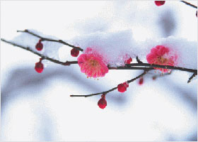 Image for article [Merayakan Hari Falun Dafa Sedunia] Tersadarkan oleh Mimpi