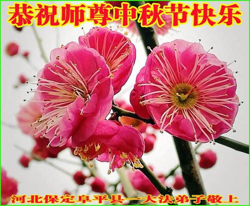 Image for article Praktisi Falun Dafa dari Kota Baoding dengan Hormat Mengucapkan Selamat Festival Pertengahan Musim Gugur kepada Guru Li Hongzhi (29 Ucapan)
