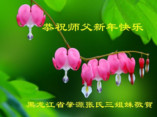 Image for article Praktisi Falun Dafa dari Provinsi Heilongjiang Mengucapkan Selamat Tahun Baru kepada Guru Li Hongzhi Terhormat (32 Ucapan)