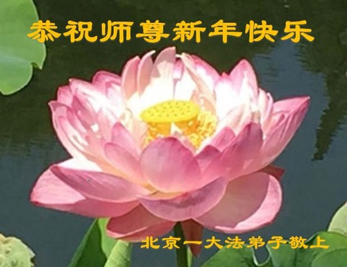 Image for article Praktisi Falun Dafa dari Beijing Mengucapkan Selamat Tahun Baru kepada Guru Li Hongzhi Terhormat (26 Ucapan)