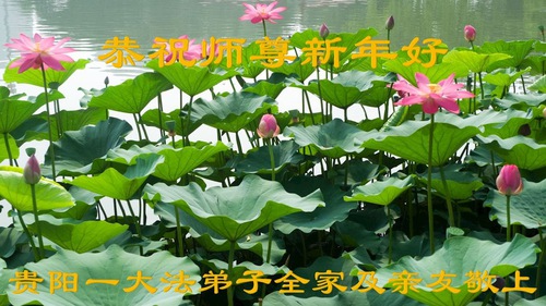 Image for article Praktisi Falun Dafa dari Provinsi Guizhou dengan Hormat Mengucapkan Selamat Tahun Baru kepada Guru Li Hongzhi (27 Ucapan)