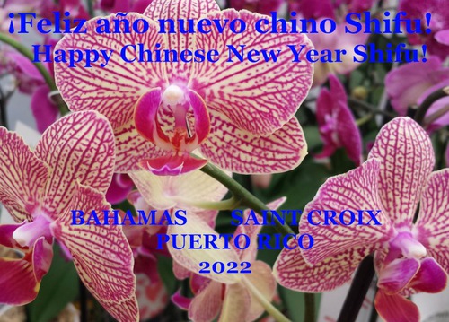 Image for article Praktisi Falun Dafa di Amerika dengan Hormat Mengucapkan Selamat Tahun Baru Imlek kepada Guru Li Hongzhi