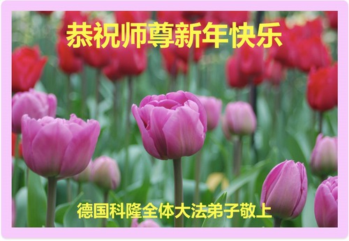 Image for article Praktisi Falun Dafa Dari Jerman, Austria dan Belanda Dengan Hormat Mengucapkan Selamat Tahun Baru Imlek Kepada Guru Li Hongzhi