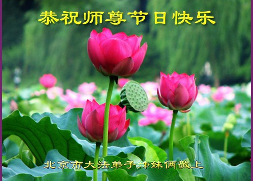 Image for article Praktisi Falun Dafa dari Beijing dengan Hormat Mengucapkan Selamat Merayakan Festival Pertengahan Musim Gugur kepada Guru Li Hongzhi (21 Ucapan)