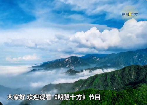 Image for article Video Minghui Shifang: “1.400 kasus kematian” - Sebuah Kebohongan yang Telah Diulangi Berkali-kali
