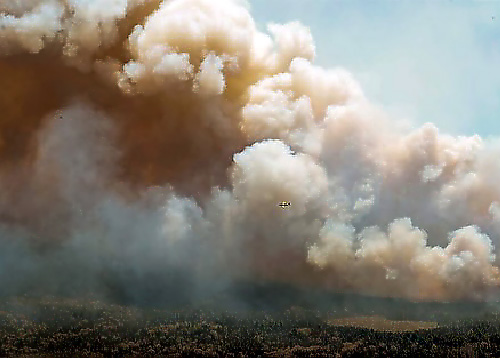 Image for article Puluhan Negara Bagian AS Mengeluarkan Peringatan Polusi Udara saat Kebakaran Hutan Menyebar di Kanada