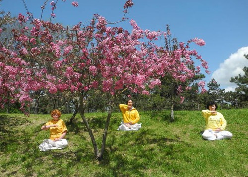 Image for article Rusia: Praktisi di Enam Kota Merayakan Hari Falun Dafa Sedunia