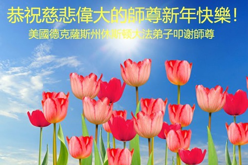 Image for article Praktisi Falun Dafa di Amerika Serikat Bagian Selatan dengan Hormat Mengucapkan Selamat Tahun Baru kepada Guru
