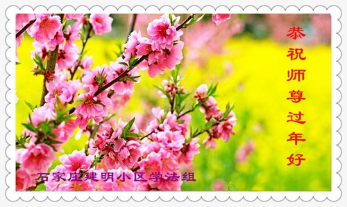 Image for article Praktisi Falun Dafa dari Kota Shijiazhuang dengan Hormat Mengucapkan Selamat Tahun Baru Imlek kepada Guru Li Hongzhi (25 Ucapan)