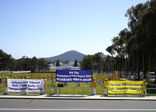 Image for article Canberra, Australia: Praktisi Falun Dafa Menyelenggarakan Rapat Umum Menyerukan Diakhirinya Pengambilan Organ Secara Paksa oleh Partai Komunis Tiongkok