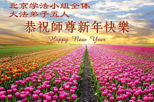 Image for article Praktisi Falun Dafa dari Beijing Mengucapkan Selamat Tahun Baru kepada Guru Li Hongzhi Terhormat (116 Ucapan)