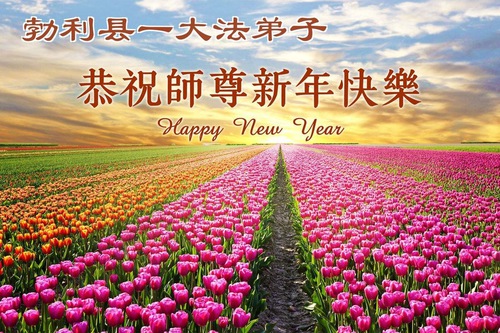 Image for article Praktisi Falun Dafa dari Provinsi Heilongjiang Mengucapkan Selamat Tahun Baru kepada Guru Li Hongzhi Terhormat (110 Ucapan)