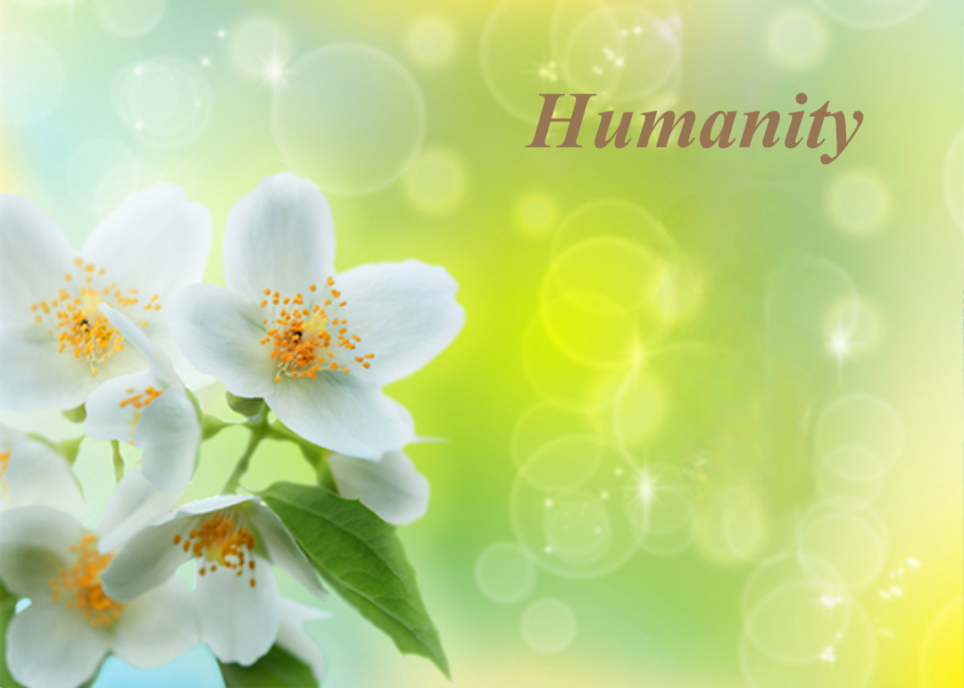 Image for article Ketika Tidak Ada Harapan, Kita Harus Mengandalkan Hati Nurani Kita