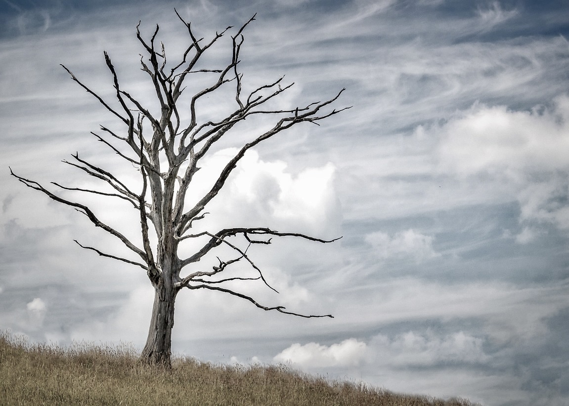 Image for article Pria Hebei Ditolak Kunjungan Keluarganya Sejak Dipenjara pada Tahun 2019