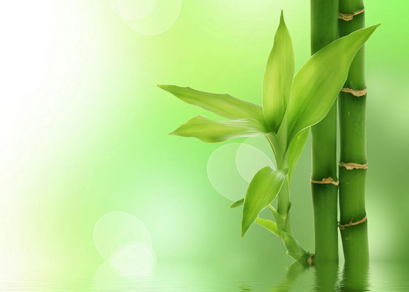 Image for article Pengalaman Saya yang Mengagumkan Setelah Kembali Berkultivasi